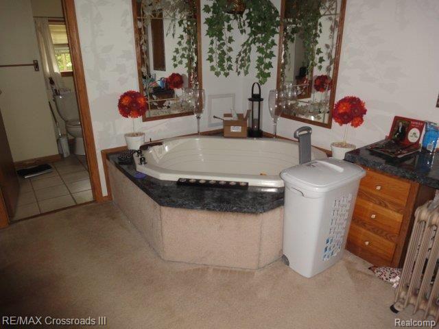 46291 Dunn Road Belleville, MI 48111 - Photo 10 of 11 MASTER BATH.jpg
