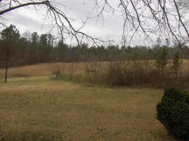 150 Whitmire Road, Unit DYNAMITE RD Tamassee, SC 29686 - Photo 6 of 7 Gallery Image 6