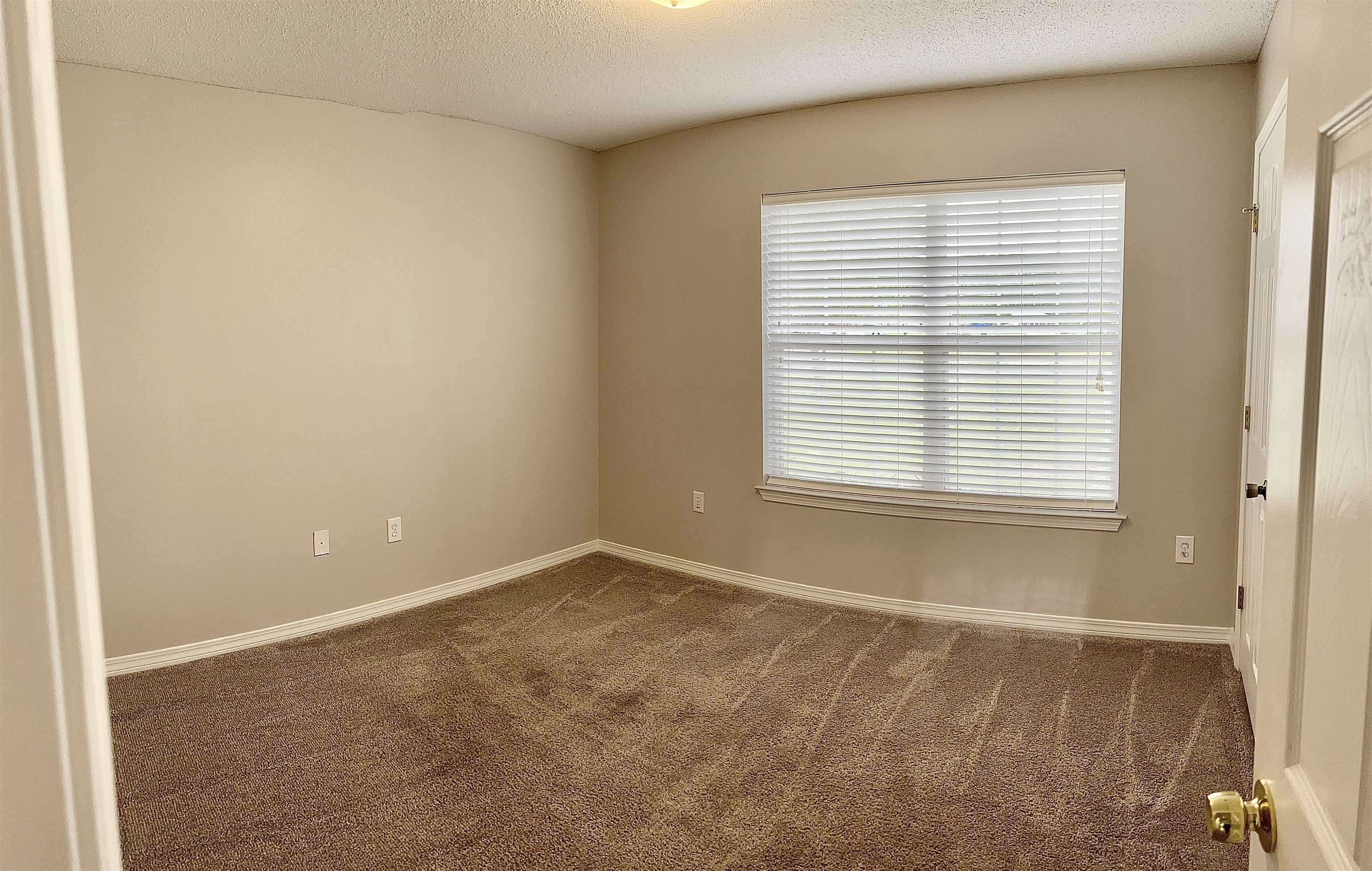 16255 Setter Circle Foley, AL 36535 - Photo 13 of 16