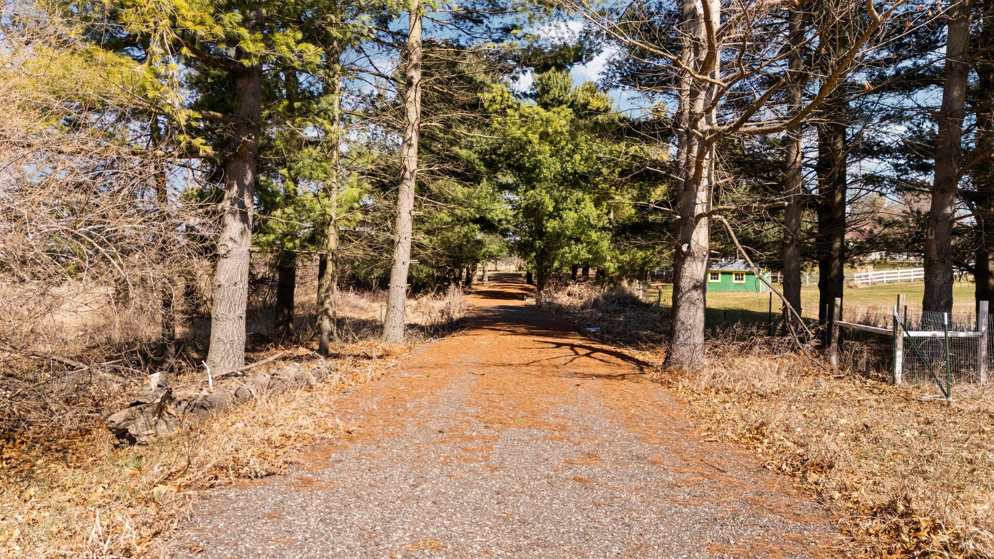 10697 Boyce Road Chelsea, MI 48118 - Photo 6 of 23 11-web-or-mls-DJI_20250326042827_0362_D