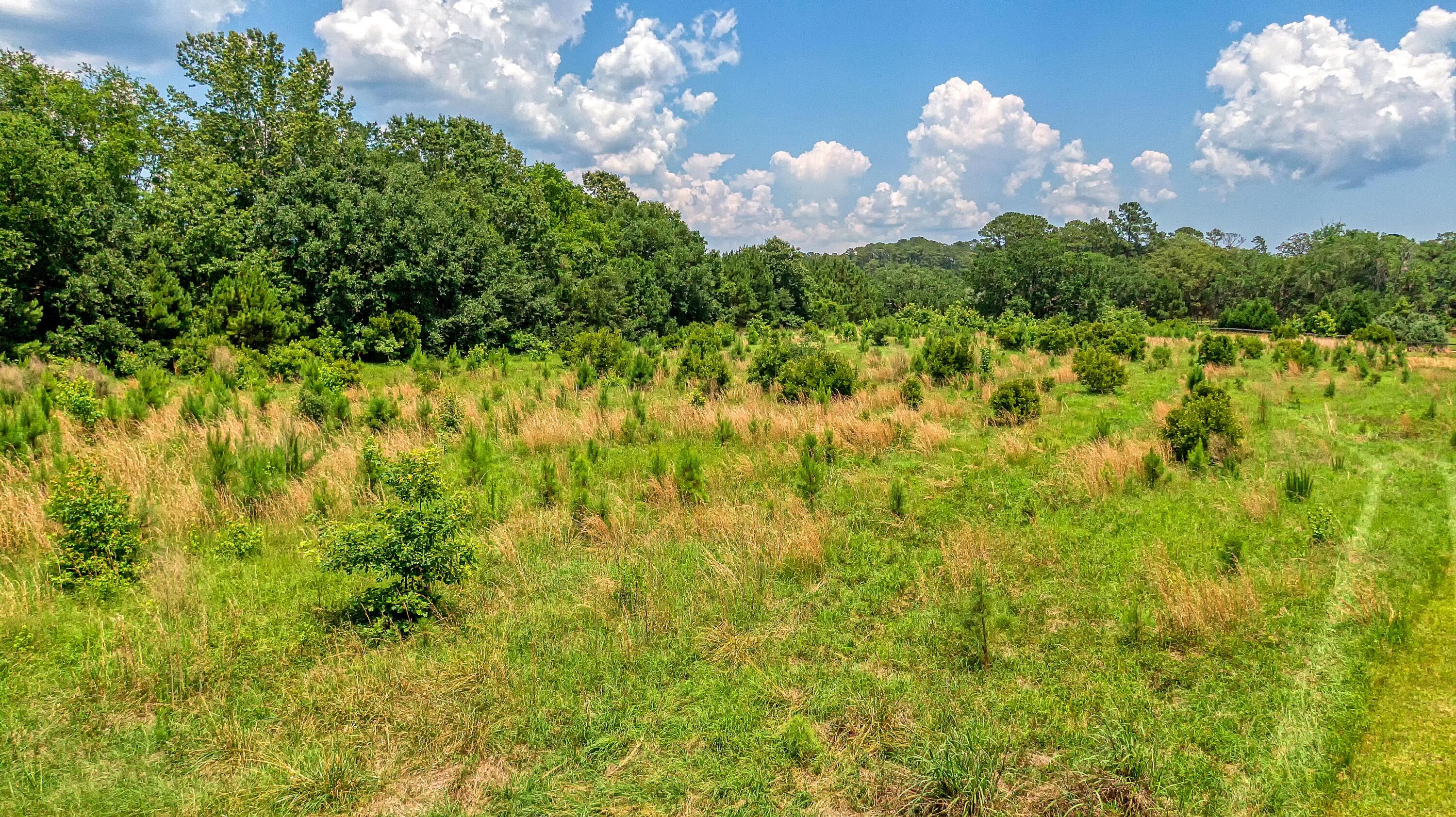 2 Eddy Farm Road Meggett, SC 29449 - Photo 11 of 16 CREM_0 Eddy Farm Road_003