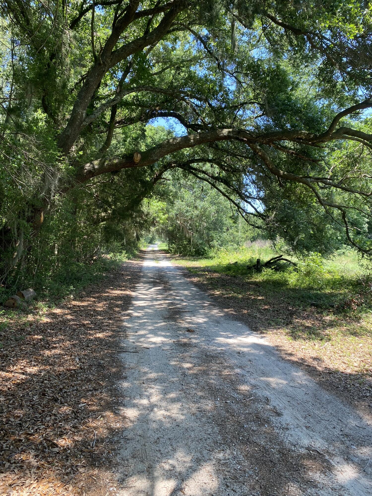 2 Eddy Farm Road Meggett, SC 29449 - Photo 4 of 16 CREM_0 Eddy Farm Road_008