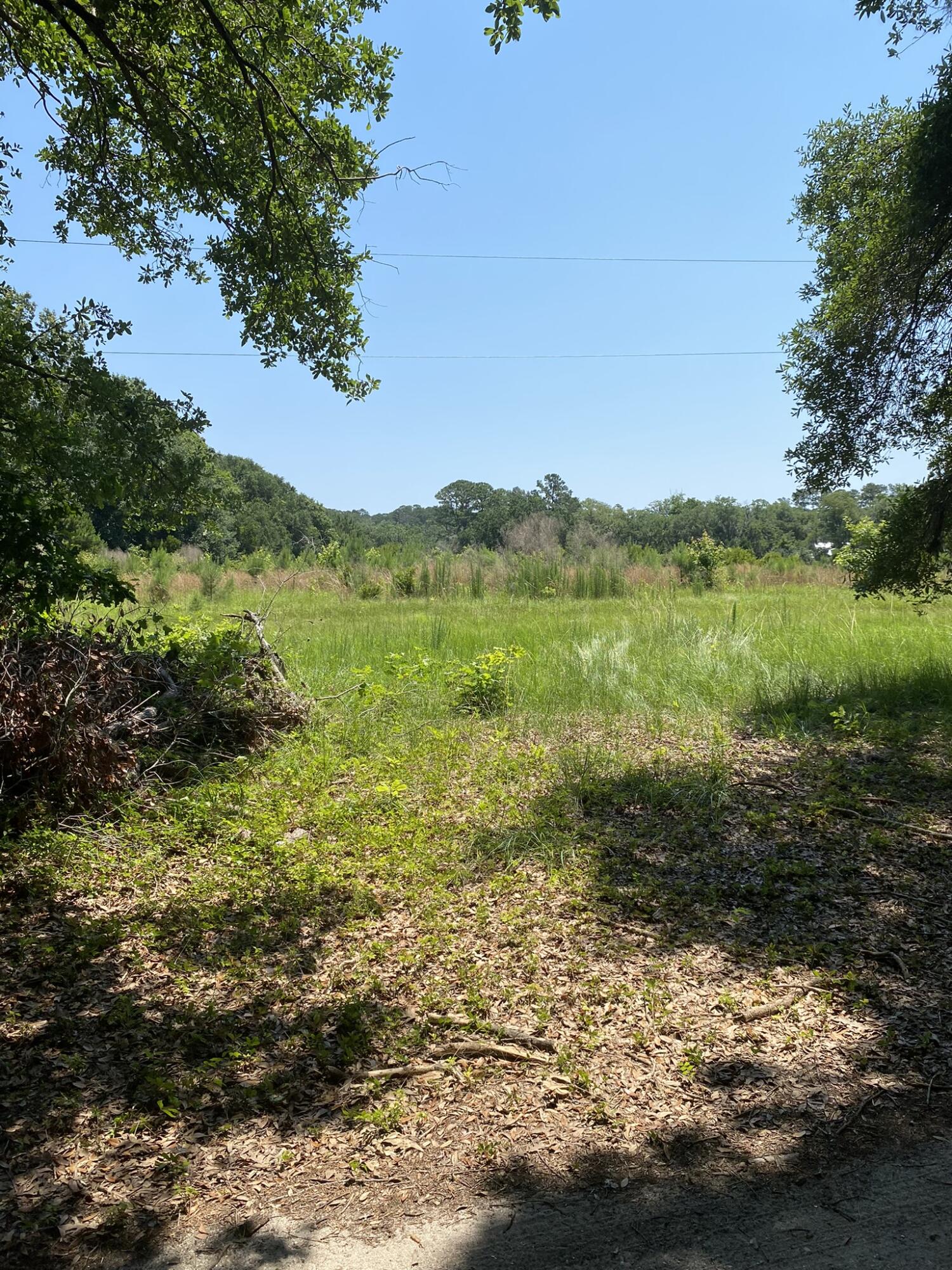 2 Eddy Farm Road Meggett, SC 29449 - Photo 5 of 16 CREM_0 Eddy Farm Road_016