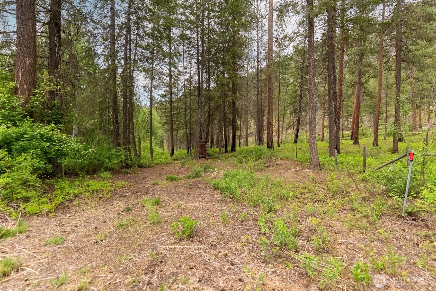 69 Fs 5010 Road Winthrop, WA 98862 - Photo 27 of 38