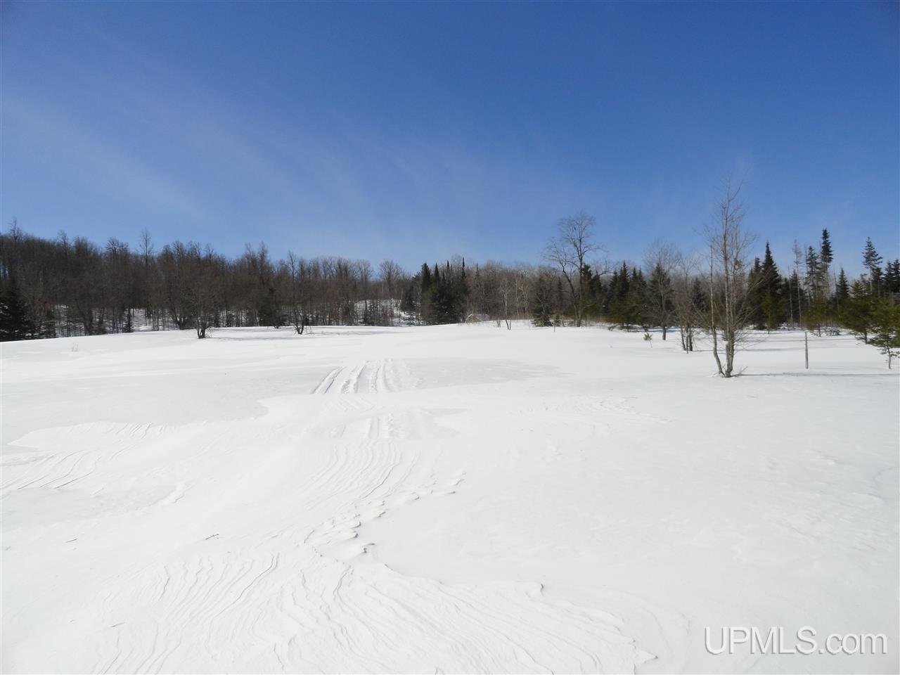 180-acres Lind Road Crystal Falls, MI 49920 - Photo 2 of 33 Gallery Image 2
