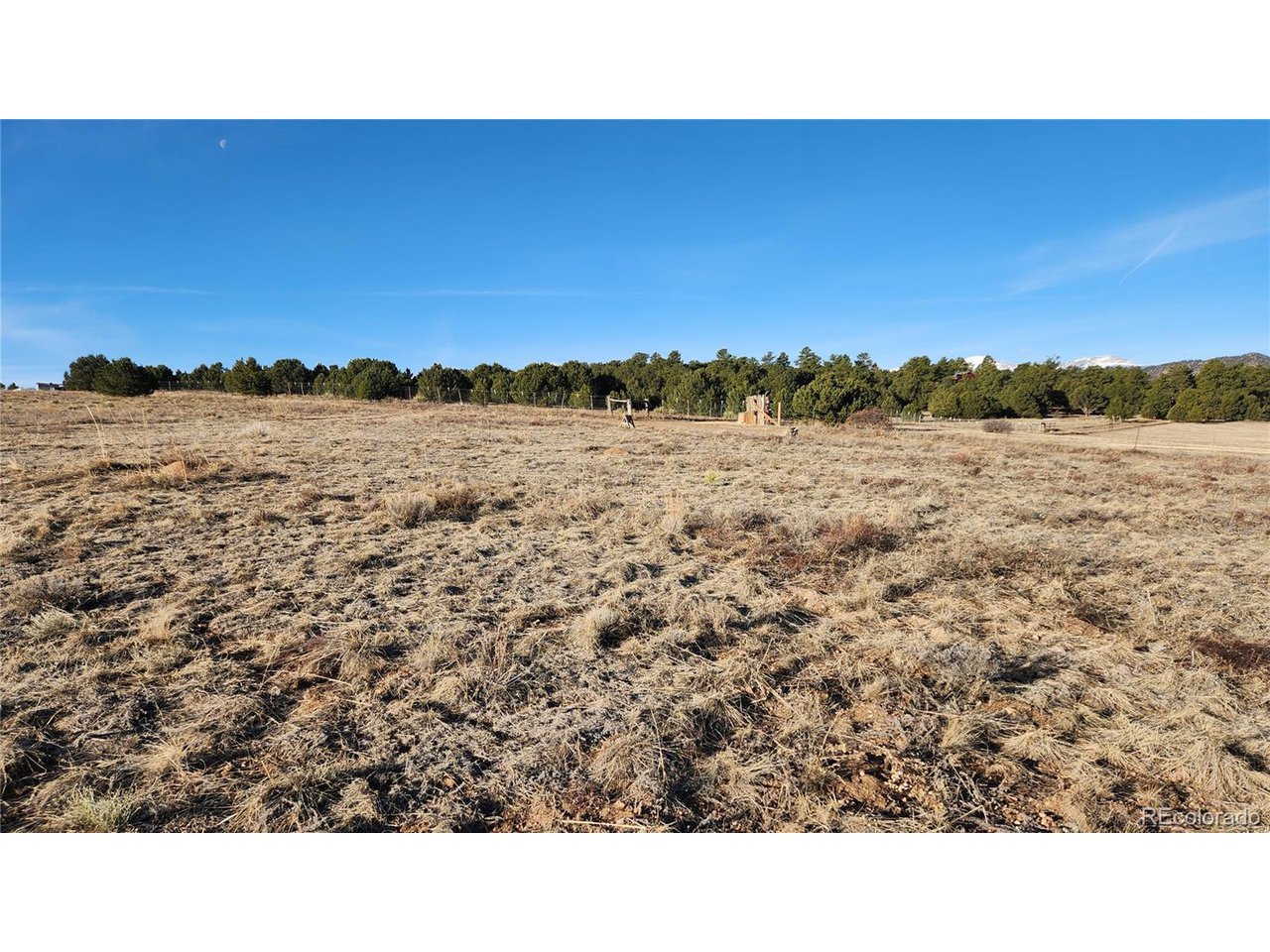 36 23rd Trail Cotopaxi, CO 81223 - Photo 3 of 20