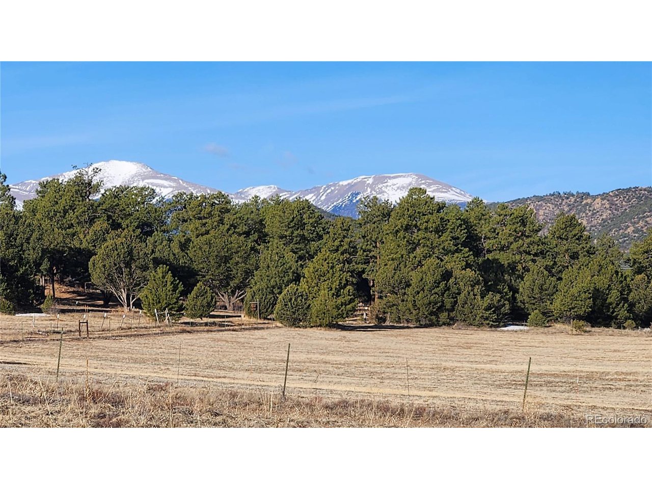 36 23rd Trail Cotopaxi, CO 81223 - Photo 6 of 20 a view of a yard