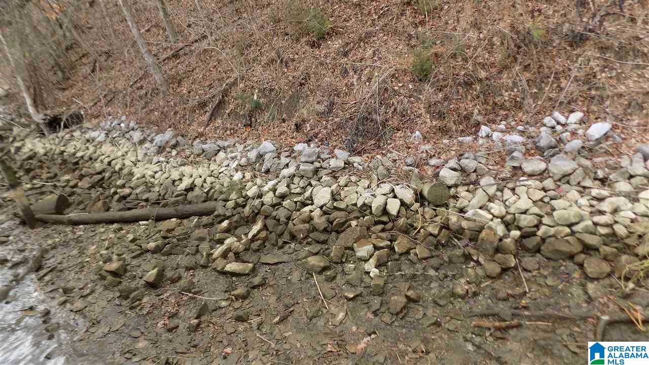 Xx Lister Ferry Road, Unit XX Rainbow City, AL 35906 - Photo 10 of 15
