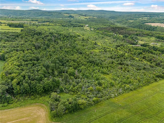 $325,000 | 2868 Townsend Road, Dix, NY 14891