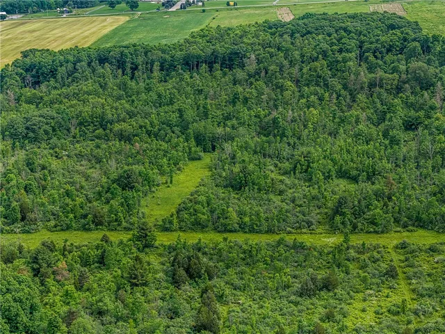 $325,000 | 2868 Townsend Road, Dix, NY 14891