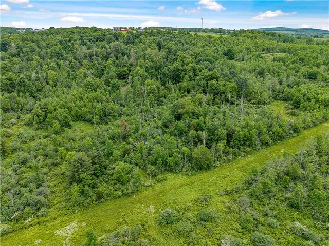 $325,000 | 2868 Townsend Road, Dix, NY 14891