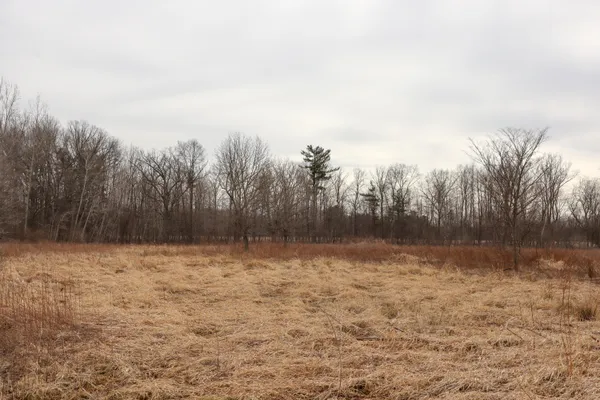 $70,500 | Sparling Road, Unit LOT 3, Goodells, MI 48027