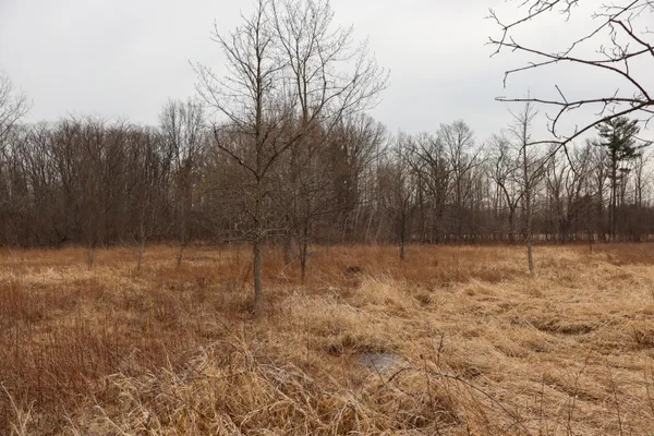 $70,500 | Sparling Road, Unit LOT 3, Goodells, MI 48027