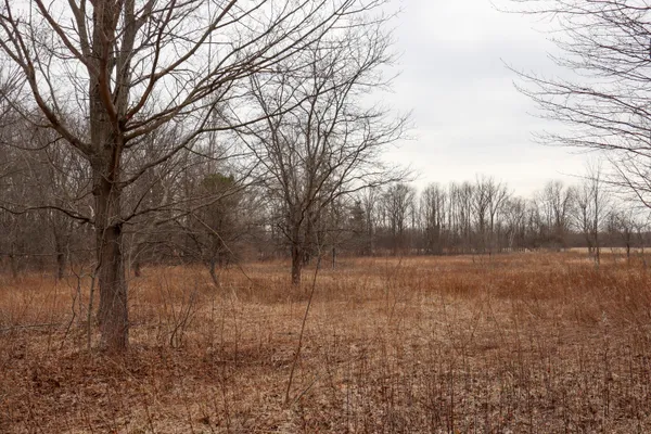 $70,500 | Sparling Road, Unit LOT 3, Goodells, MI 48027