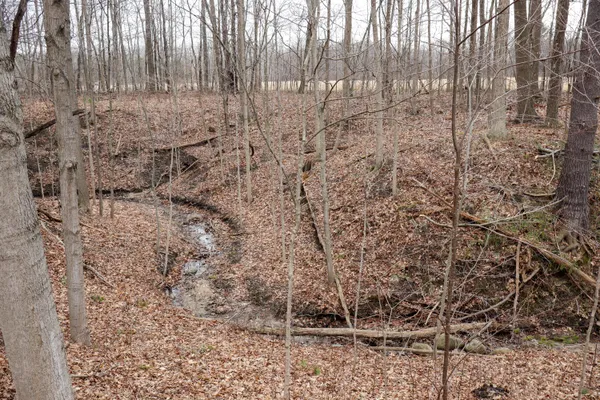 $70,500 | Sparling Road, Unit LOT 3, Goodells, MI 48027
