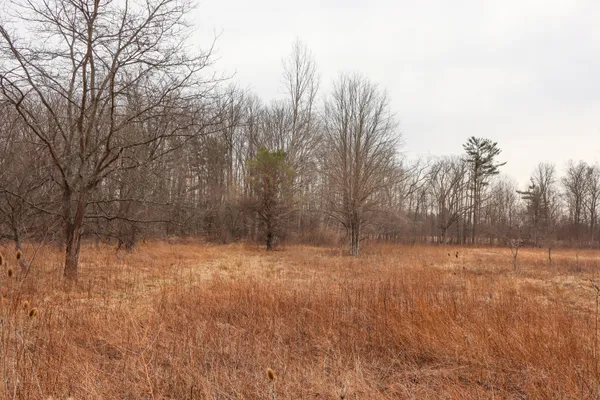 $70,500 | Sparling Road, Unit LOT 3, Goodells, MI 48027