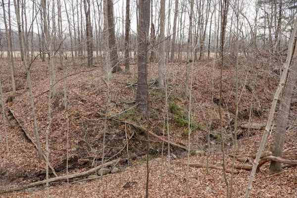 $70,500 | Sparling Road, Unit LOT 3, Goodells, MI 48027