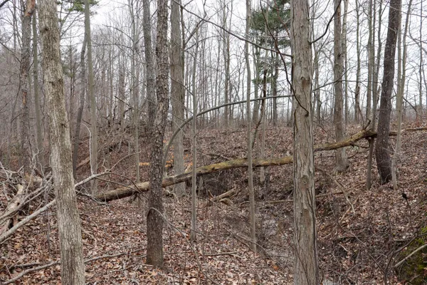 $70,500 | Sparling Road, Unit LOT 3, Goodells, MI 48027