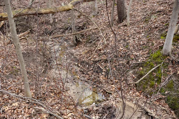 $70,500 | Sparling Road, Unit LOT 3, Goodells, MI 48027