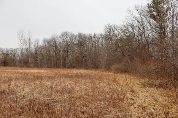 $70,500 | Sparling Road, Unit LOT 3, Goodells, MI 48027