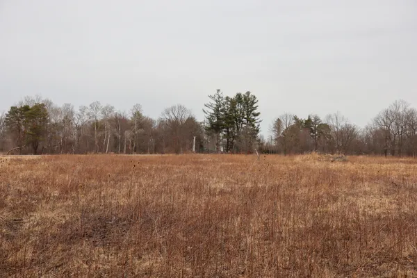 $70,500 | Sparling Road, Unit LOT 3, Goodells, MI 48027