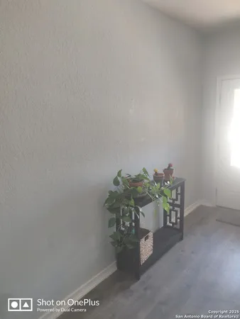 a potted plant sitting in a room next to a window