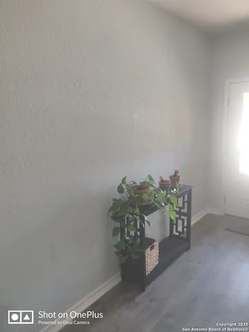 a potted plant sitting in a room next to a window