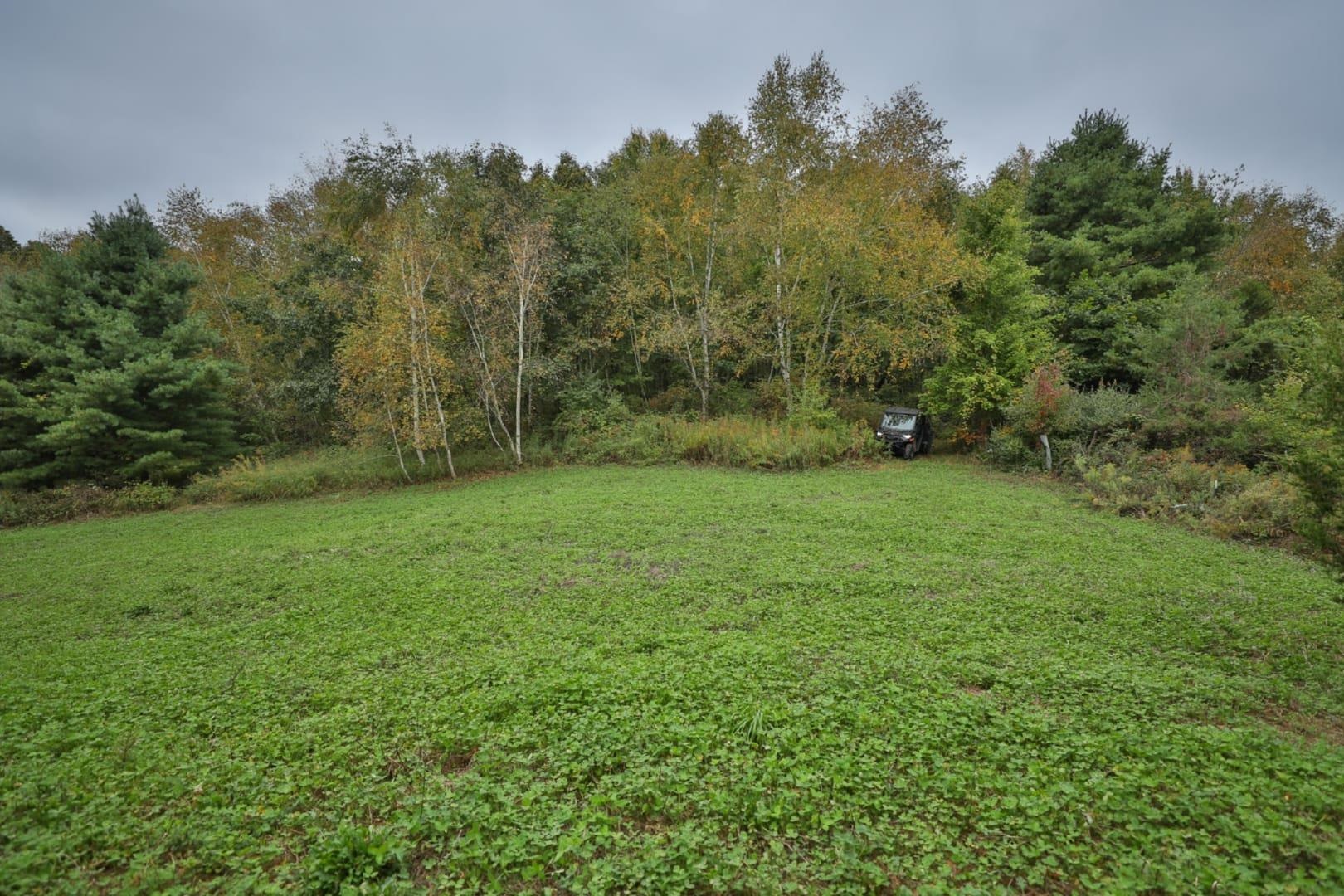 0 Pierce Road Hixton, WI 54635 - Photo 11 of 90 Gallery Image 11