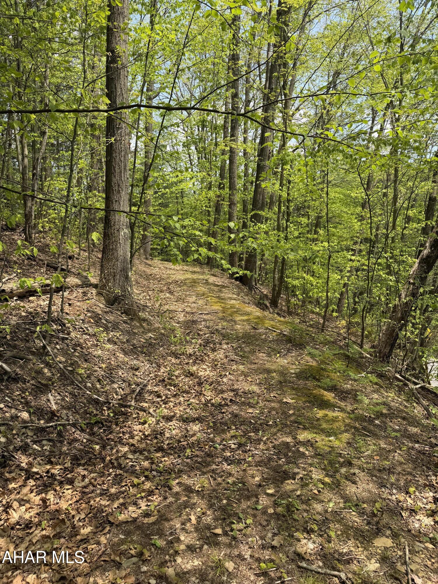 1438 Watt Road Gallitzin, PA 16641 - Photo 47 of 60