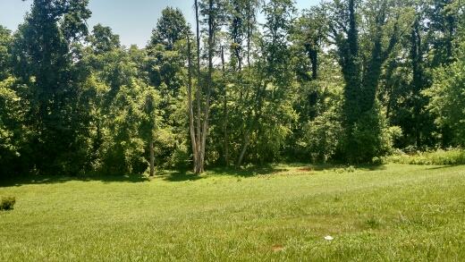 264 Valley Road Hardy, VA 24101 - Photo 14 of 26 Yard