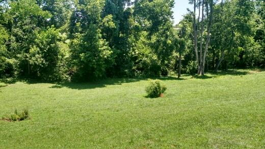 264 Valley Road Hardy, VA 24101 - Photo 16 of 26 Yard