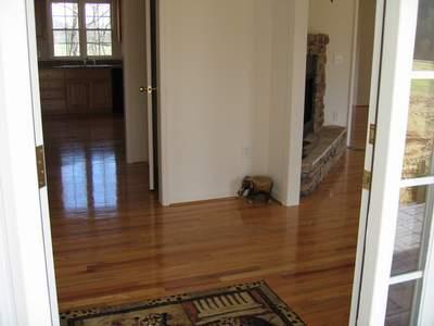 264 Valley Road Hardy, VA 24101 - Photo 3 of 26 Foyer