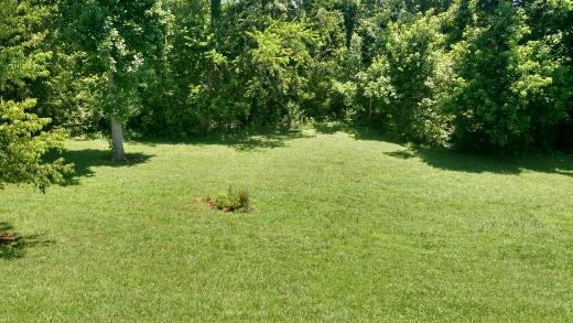 264 Valley Road Hardy, VA 24101 - Photo 23 of 26 Yard