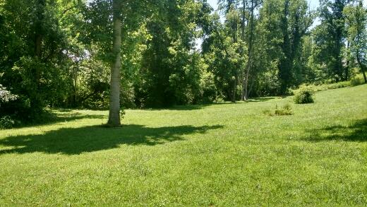 264 Valley Road Hardy, VA 24101 - Photo 24 of 26 Yard