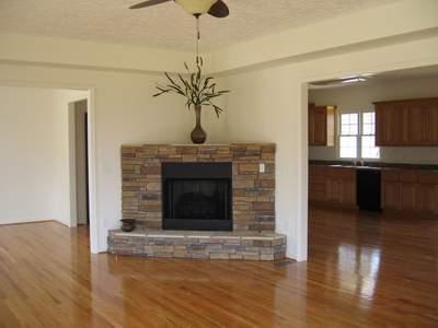 264 Valley Road Hardy, VA 24101 - Photo 5 of 26 Living Room Fireplace