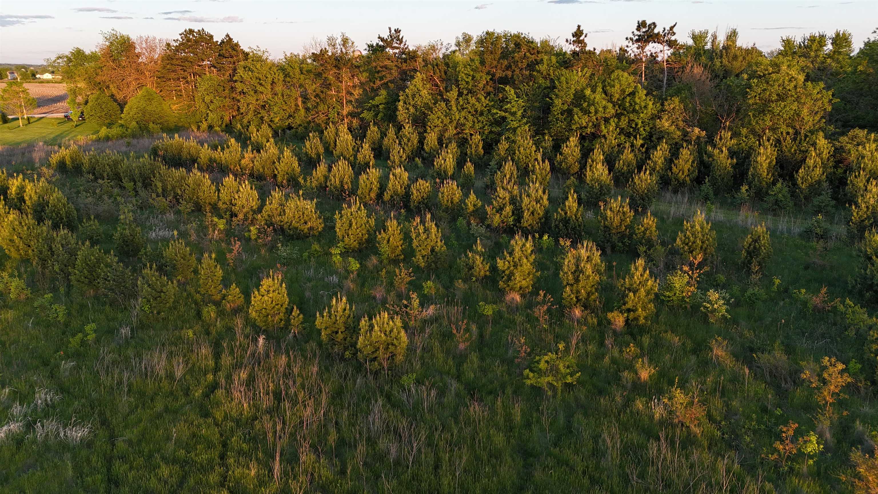 0 County Hwy D Belleville, WI 53508 - Photo 15 of 38