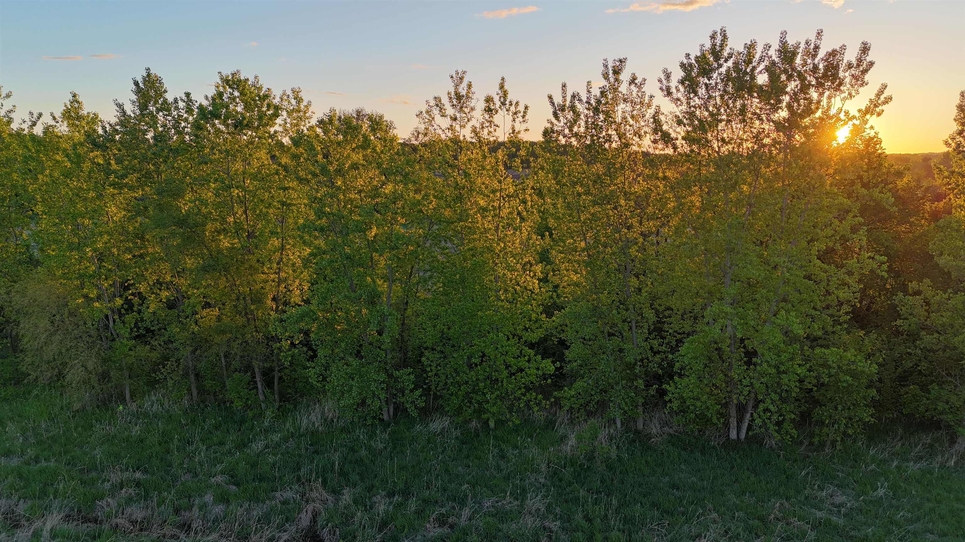 0 County Hwy D Belleville, WI 53508 - Photo 20 of 38