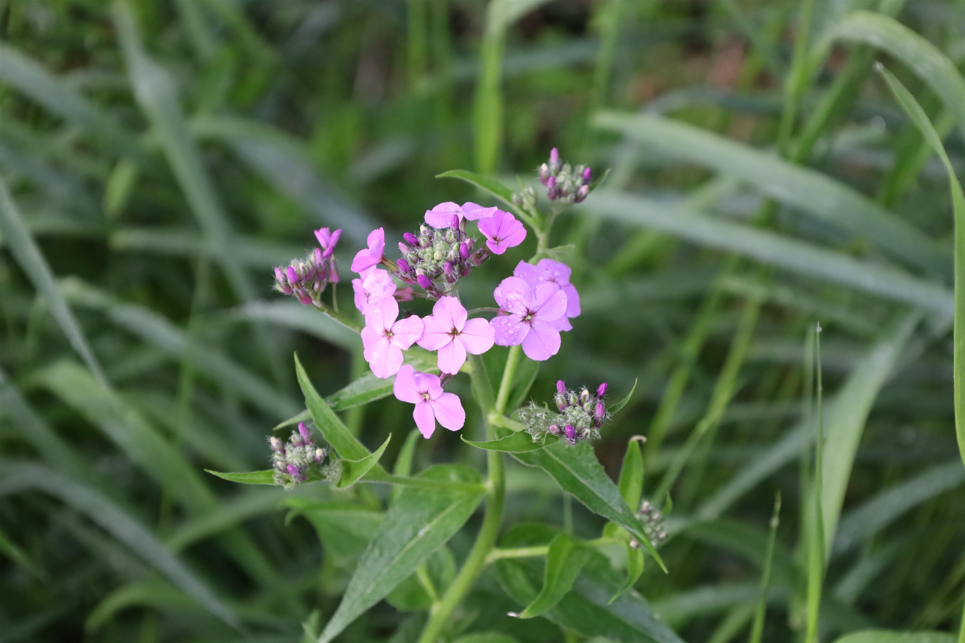 0 County Hwy D Belleville, WI 53508 - Photo 26 of 38