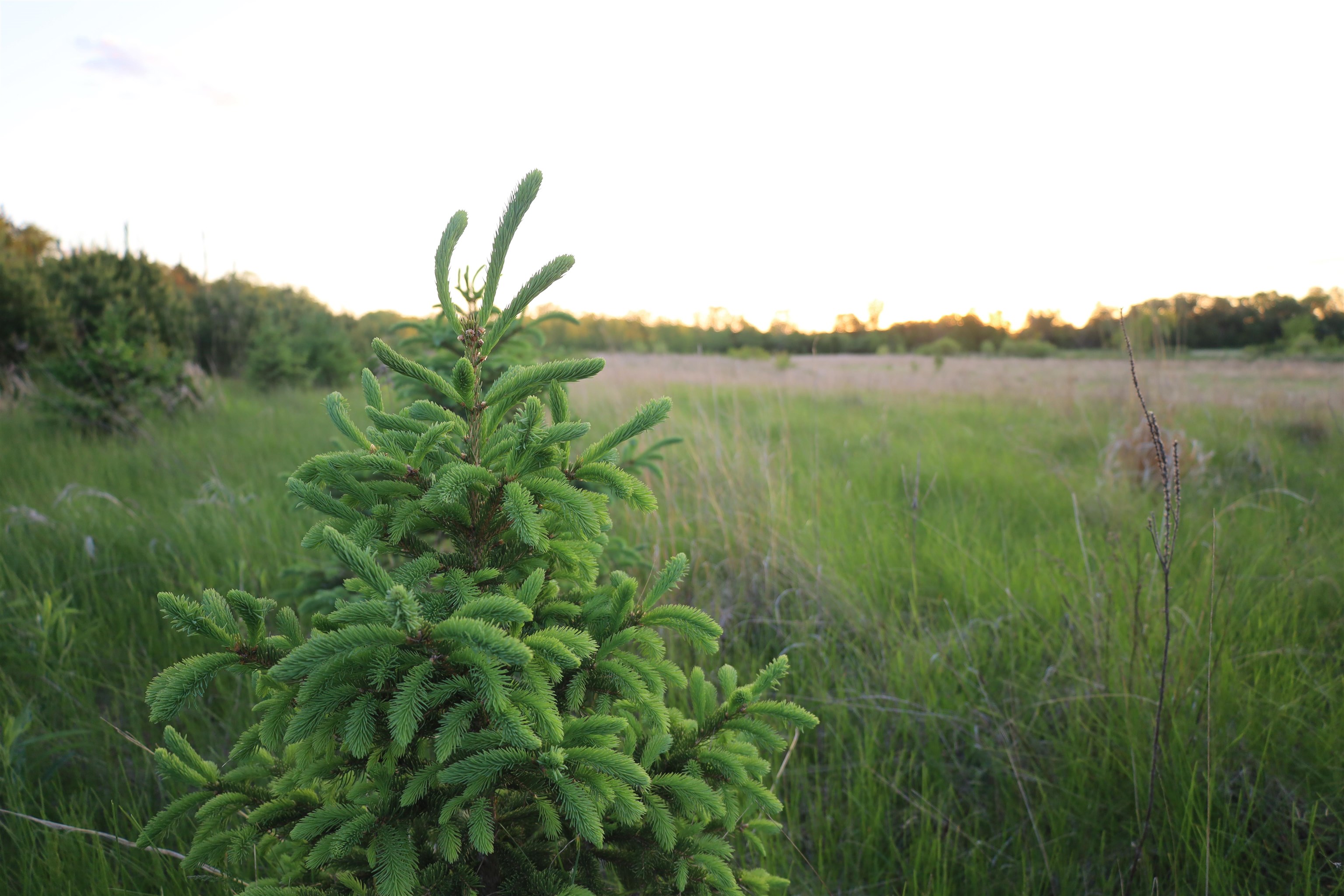 0 County Hwy D Belleville, WI 53508 - Photo 28 of 38