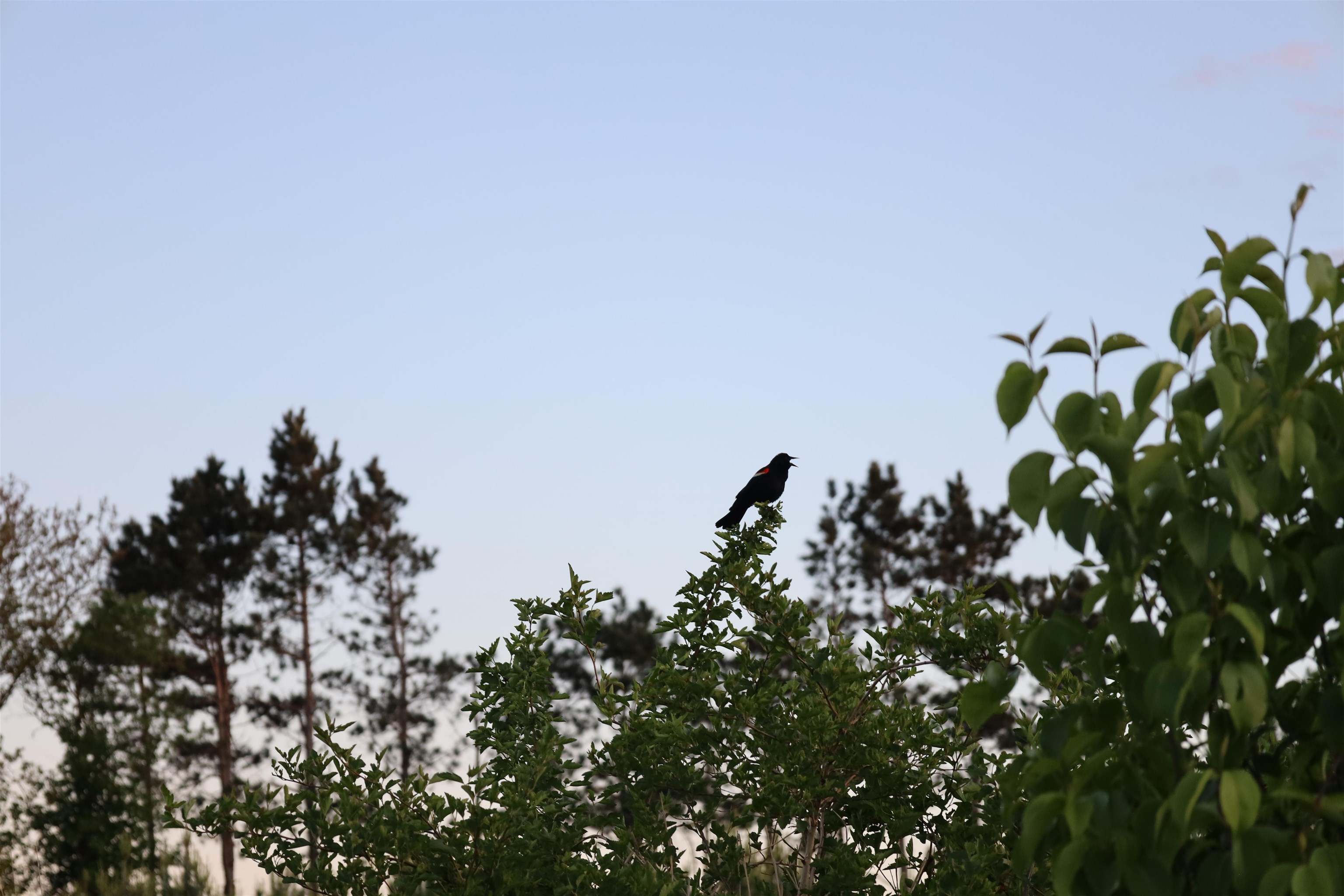 0 County Hwy D Belleville, WI 53508 - Photo 30 of 38