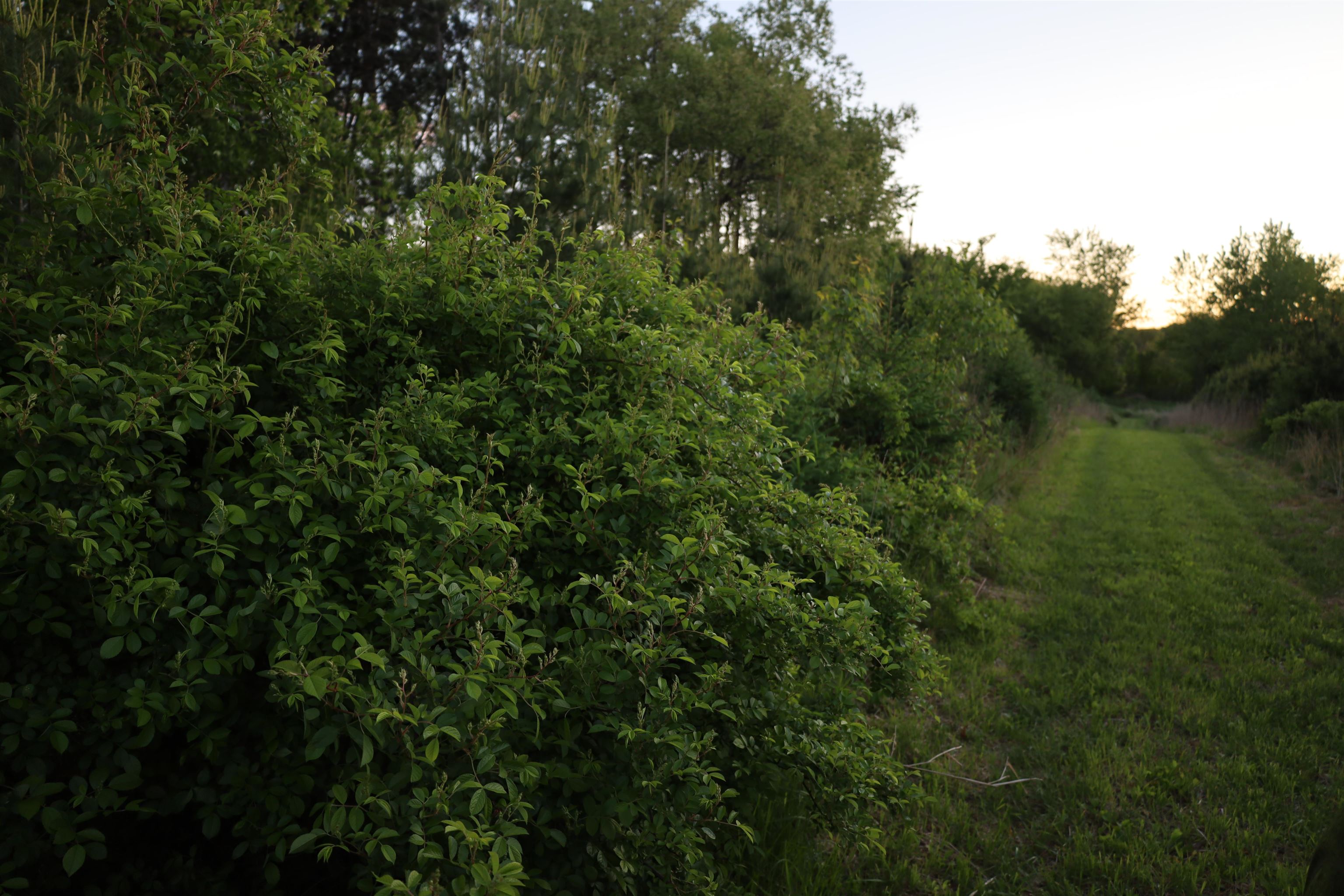 0 County Hwy D Belleville, WI 53508 - Photo 31 of 38