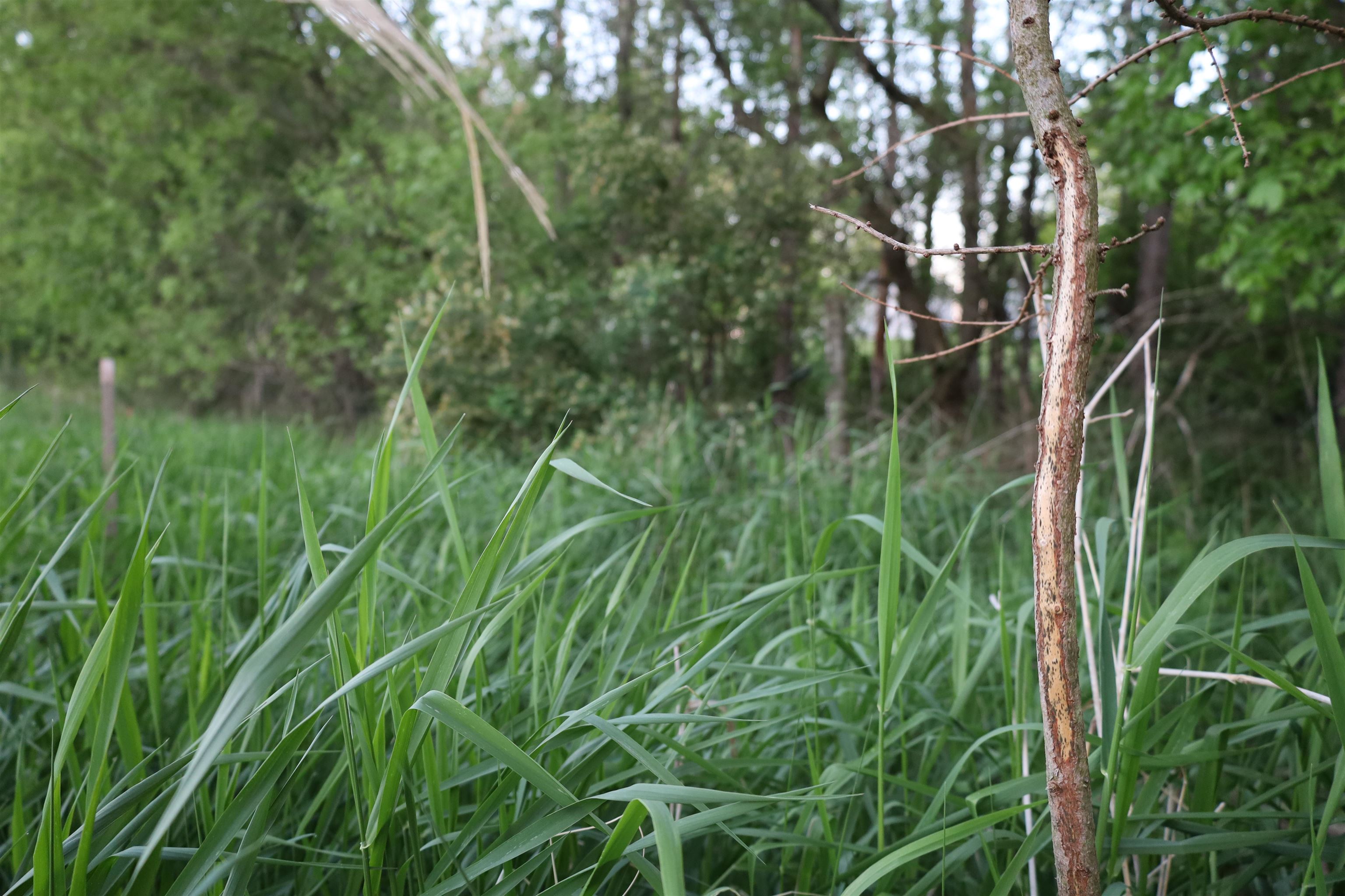 0 County Hwy D Belleville, WI 53508 - Photo 32 of 38