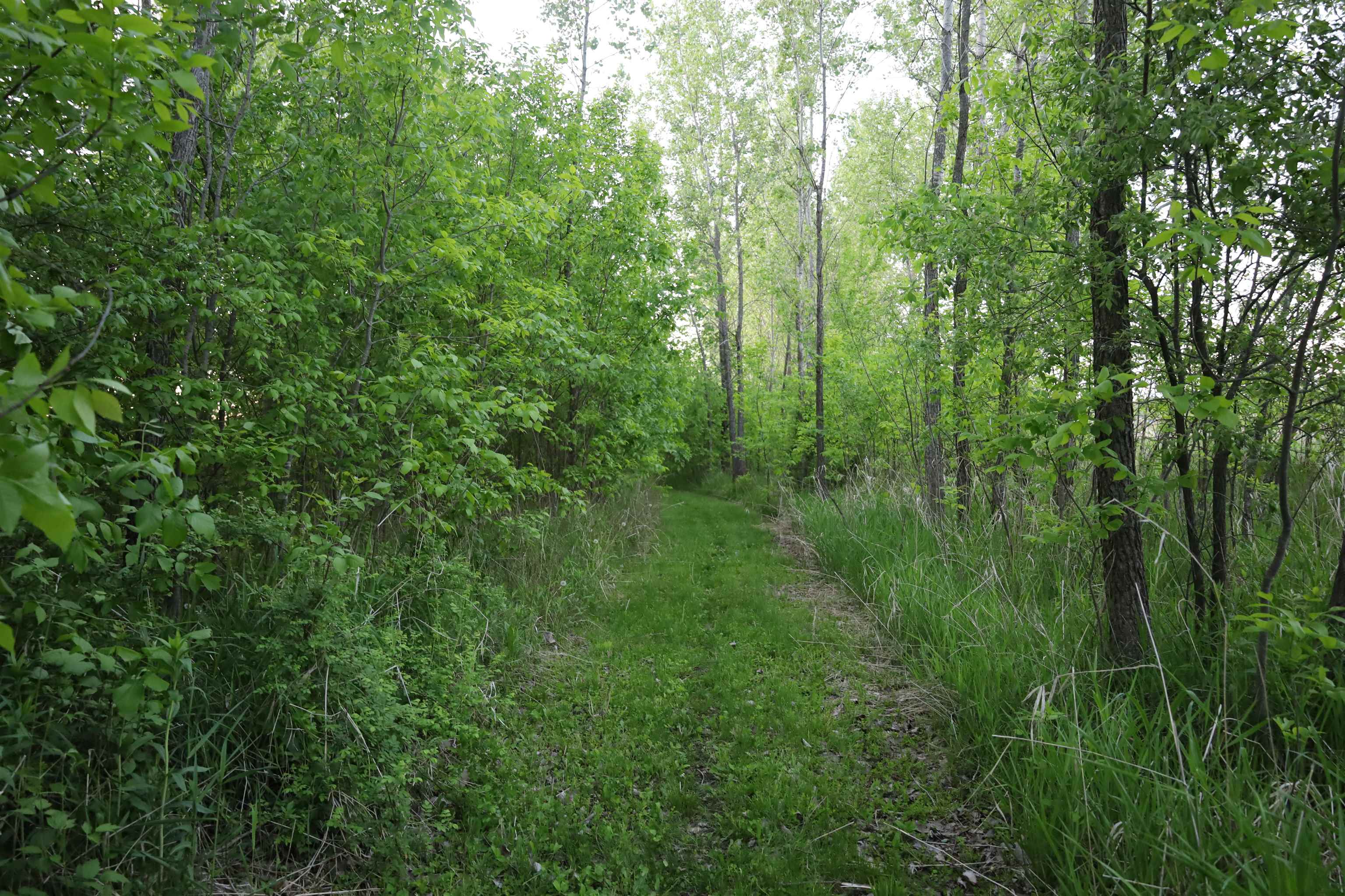 0 County Hwy D Belleville, WI 53508 - Photo 33 of 38