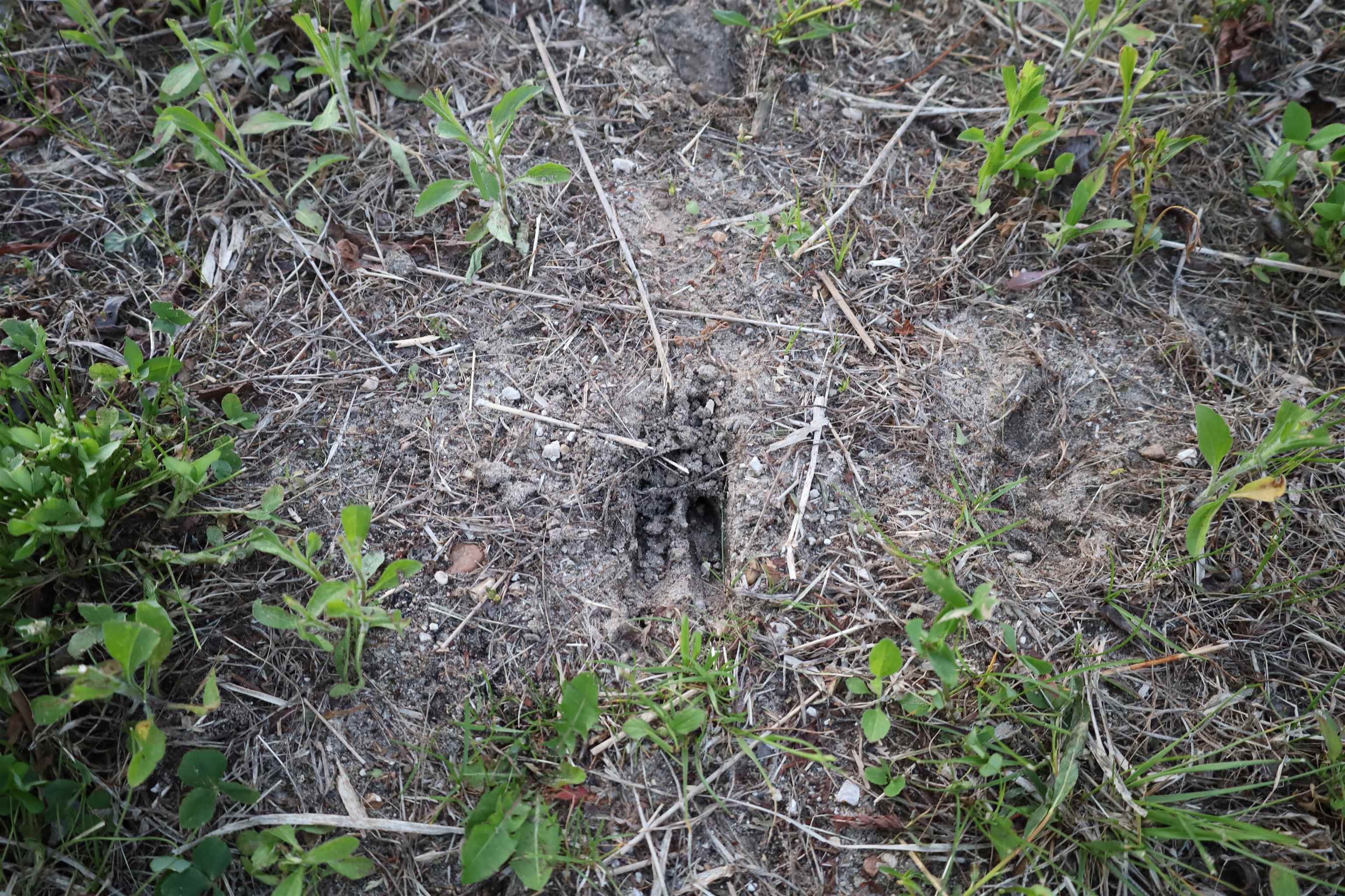 0 County Hwy D Belleville, WI 53508 - Photo 38 of 38