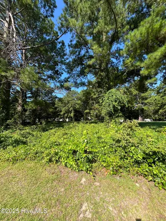 $95,000 | 205 Egret Point Drive, Sneads Ferry, NC 28460