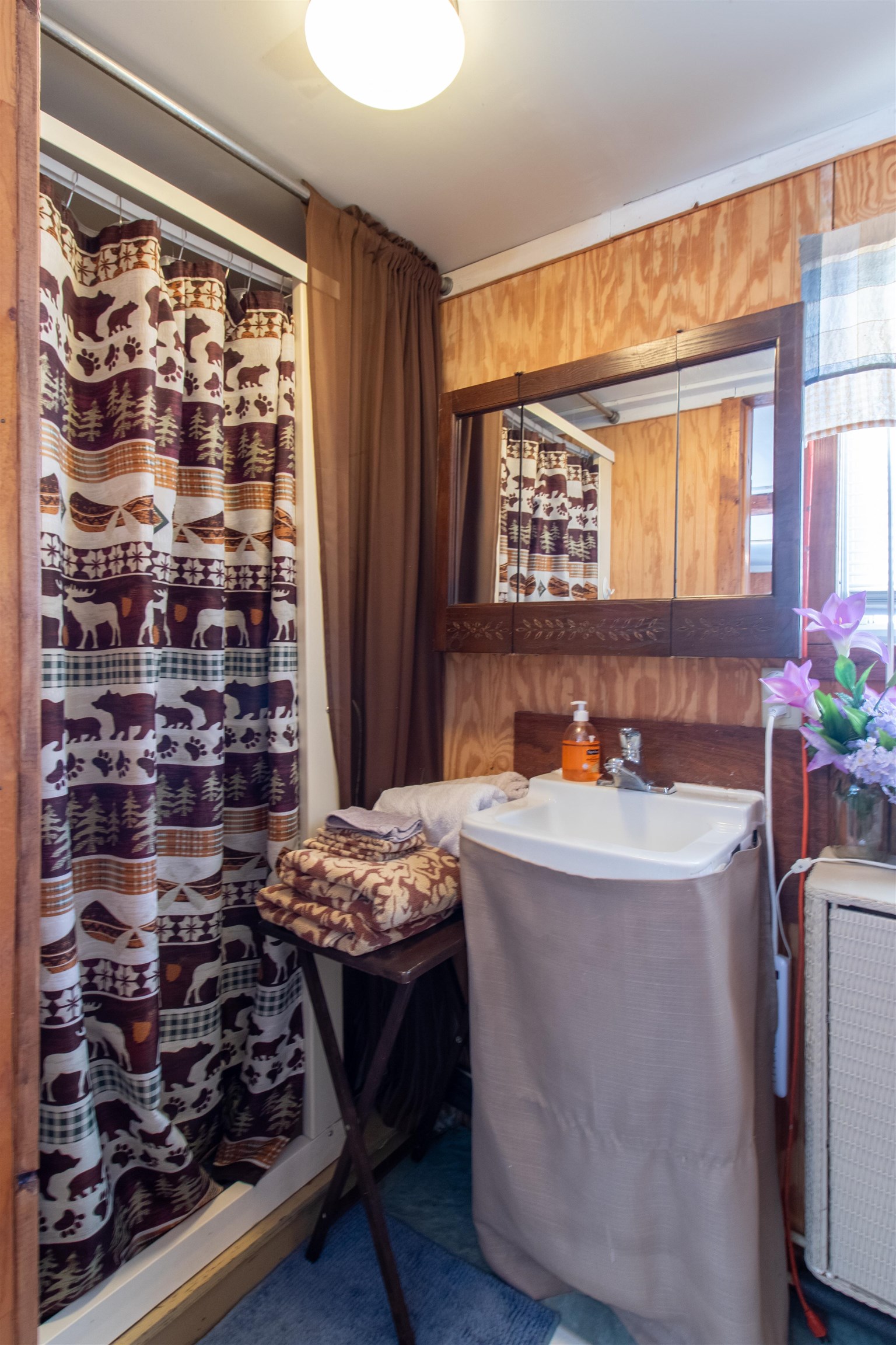 28 Valley Road Morgan, VT 05853 - Photo 33 of 48