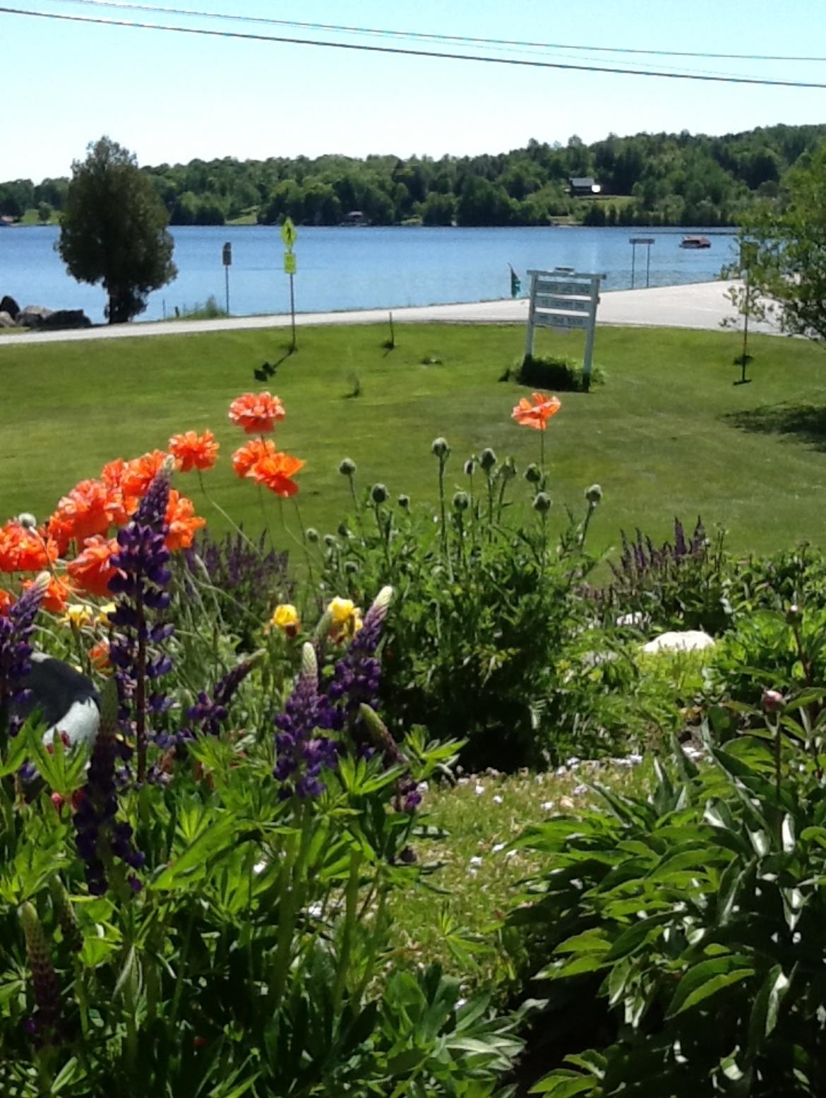 28 Valley Road Morgan, VT 05853 - Photo 42 of 48