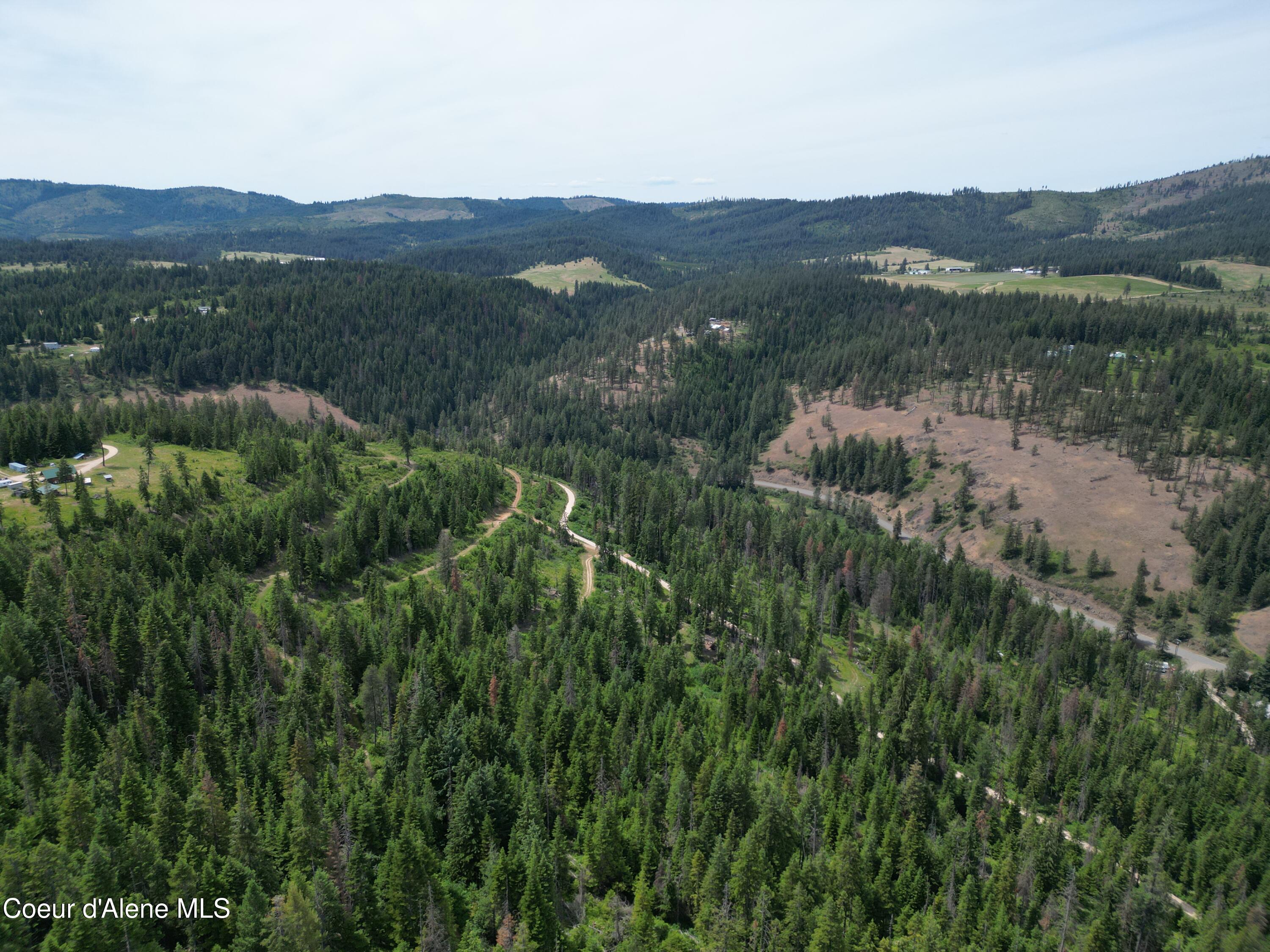 Blake Creek Rd Street St. Maries, ID 83861 - Photo 12 of 37 dji_fly_20260623_135242_213_178224806922