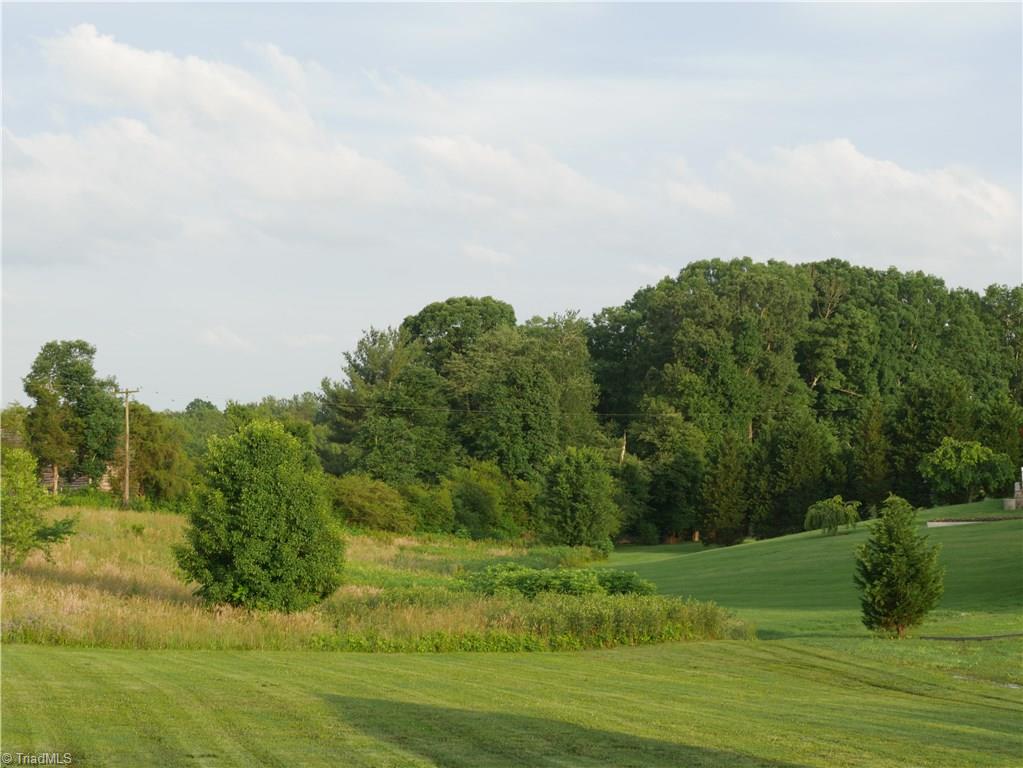 1615 Rosebud Road Walnut Cove, NC 27052 - Photo 18 of 20 Nice back and side yard.