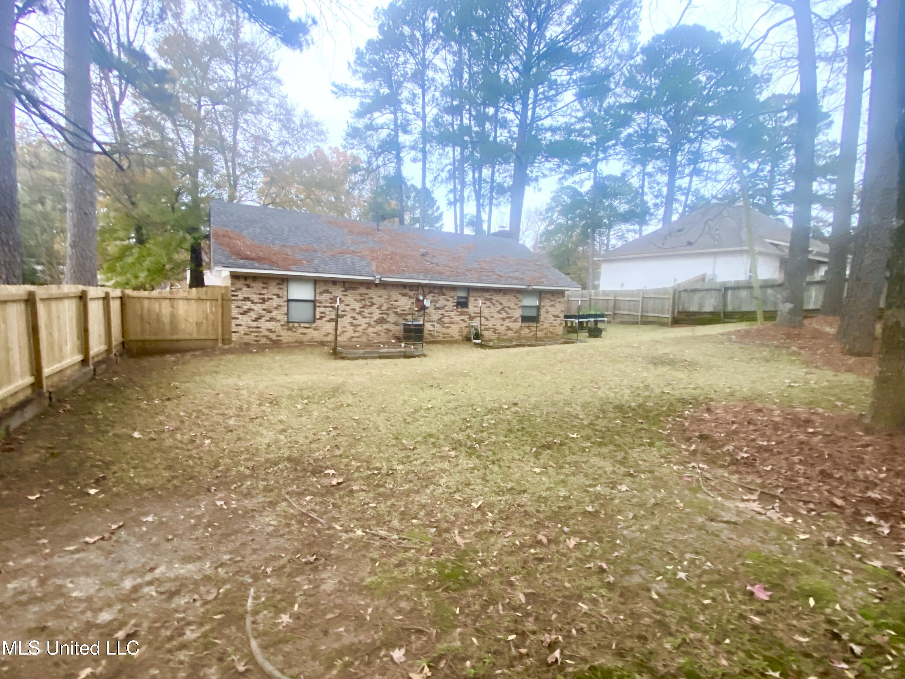 111 Sara Drive Brandon, MS 39042 - Photo 14 of 15 IMG_3152